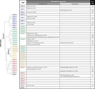 TRP Channels as Emerging Therapeutic Targets for Neurodegenerative Diseases